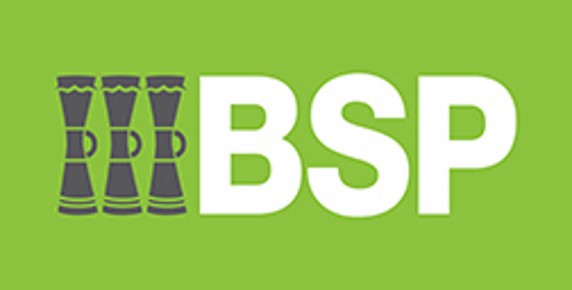 4. BSP Logo